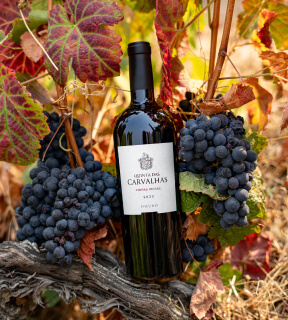 Galeria Quinta das Carvalhas, vinho do douro, vinhas velhas