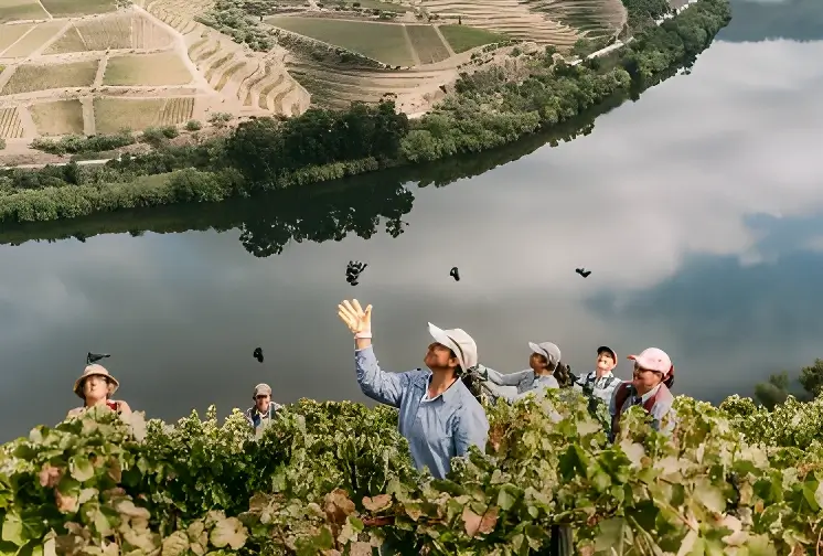 Imagem Quinta Slider