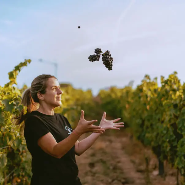 eno-harvest-experience