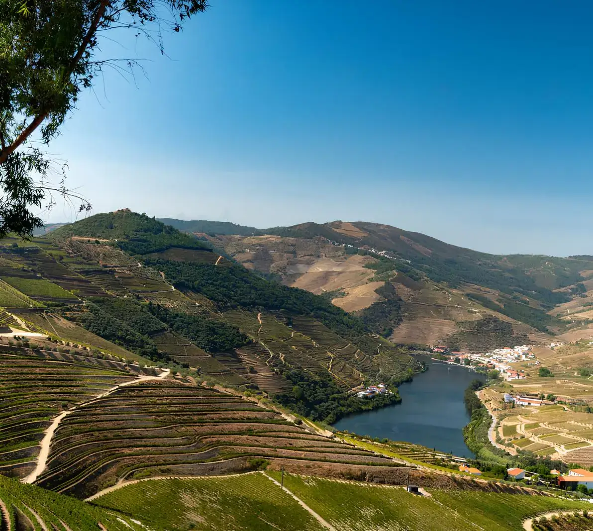 eno-shuttle-sightseeing-tour