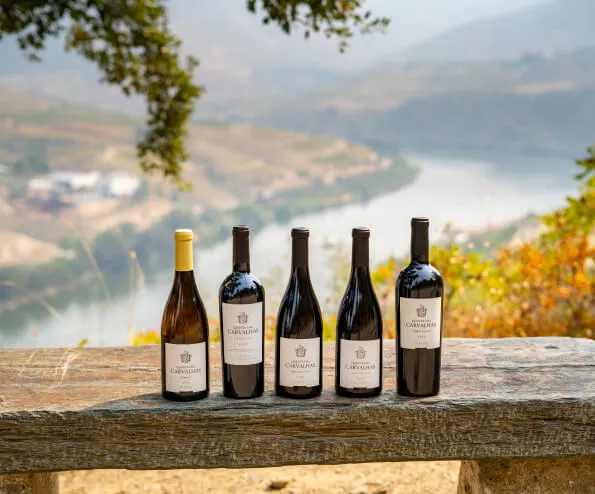 Garrafas Vinho Douro